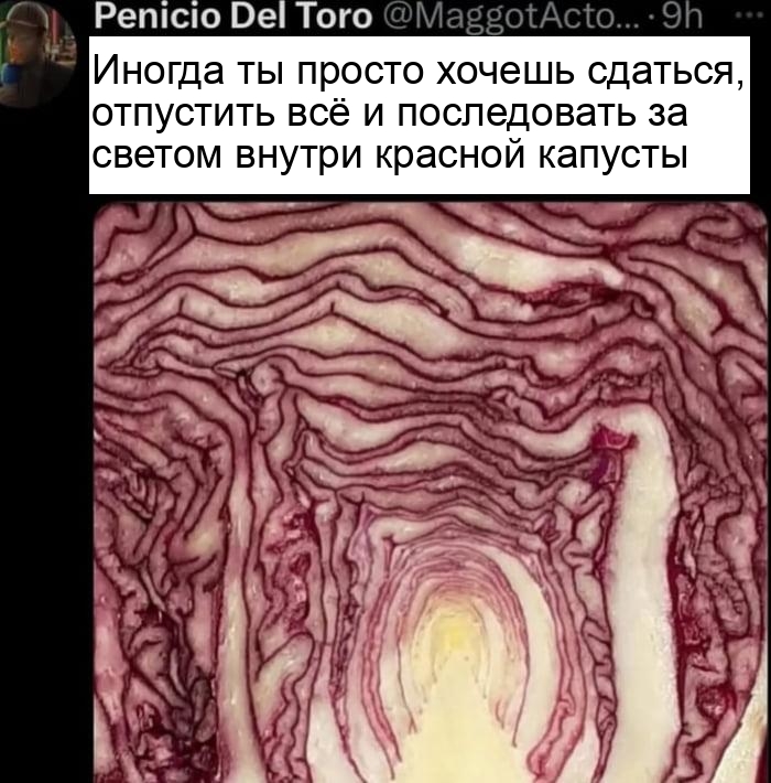 Найдите внутренний покой в красной капусте.