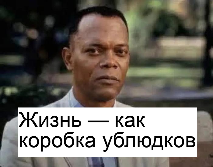 Выбирай с умом